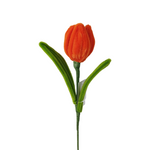 AC10504 TULIP 14in-24/96P