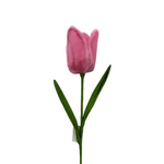 AC10521 TULIP SPRAY 31.5in