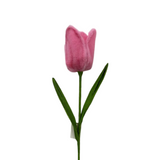 AC10521 TULIP SPRAY 31.5in