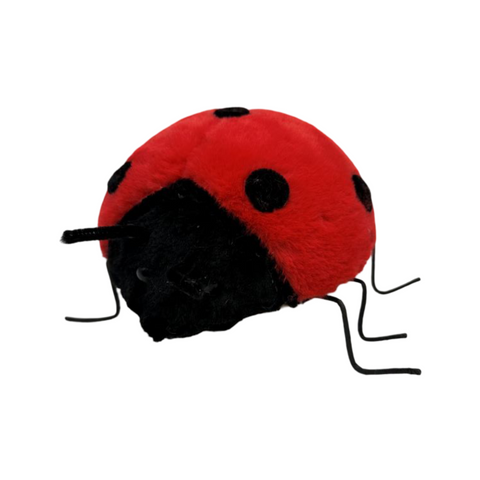 AC10525 LADYBUG D10in