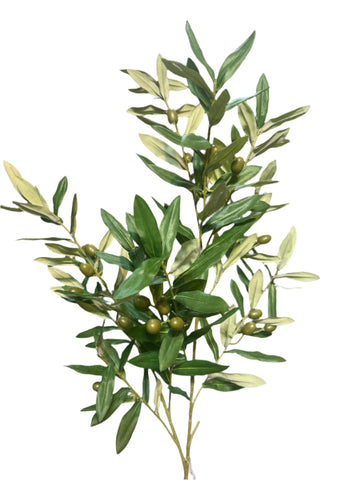 SY11109 OLIVE w/OLIVE SPRAY 40"