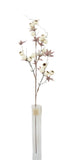AU10071 SHEA BUTTER/LVS SPRAY,36"