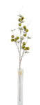 AU10071 SHEA BUTTER/LVS SPRAY,36"