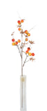 AU10071 SHEA BUTTER/LVS SPRAY,36"