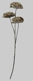 AU10103 QUEEN ANN LACE SPRAYx3,34"