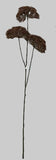 AU10103 QUEEN ANN LACE SPRAYx3,34"