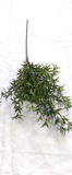 AU10136 MINI LEAF SPRAY,28"