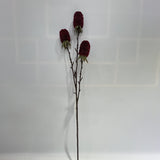 AU10140 BANKSIA SPRAY,29"