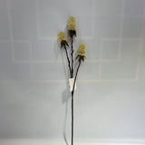 AU10140 BANKSIA SPRAY,29"