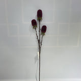 AU10140 BANKSIA SPRAY,29"