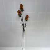 AU10140 BANKSIA SPRAY,29"