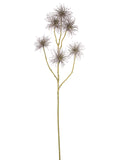 AU10164 CLEMATIS SEED SPRAY,32"