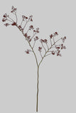 AU10181 BERRY BRANCH 55"