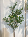 SY11123  OLIVE w/OLIVES SPRAY 46"