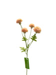 FL13537 MINI POMPOM MUM SPRAYx4F 20"