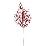BE10413 BERRY SPRAY