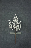 BE10421 ICED METALLIC CARBAPPLE PICK,17"