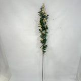 BE10431 PYRACANTHA BRANCH,5'