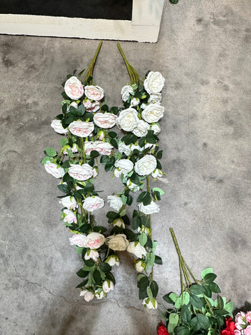 BF10242 DAVID AUSTIN ROSE HANGING BUSH,50"