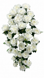 BF10243 GARDEN ROSE HANGING BUSH,50"