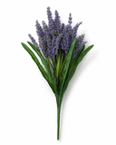 BF10301 LILYTURF BUSHx9  21.5"