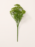 BF10303 YARROW BUSH  17"