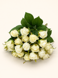 BF10305 MINI ROSE BUSH  13.5"