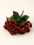 BF10305 MINI ROSE BUSH  13.5"
