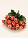 BF10305 MINI ROSE BUSH  13.5"