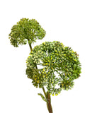 FL13562  ALLIUM SPRAYx2 35"