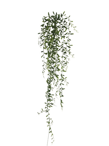 BG10643 LITTLE PICKLES HANGING BUSH 34"