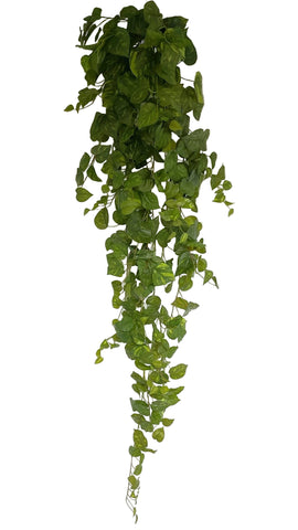 BG10651 POTHOS HANGING BUSH 70"