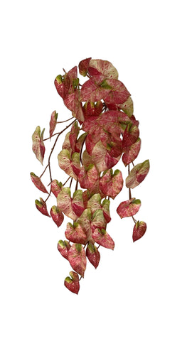 BG10664 PHILO HANGING BUSH 27"