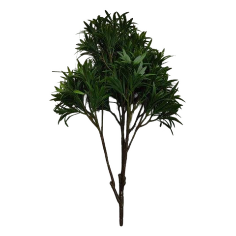 BG10680 PODOCARPUS BUSH (UV) 25"