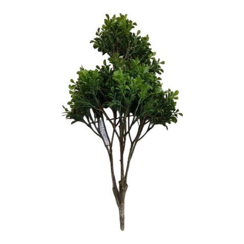 BG10682 BOXWOOD BUSH (UV) 25"