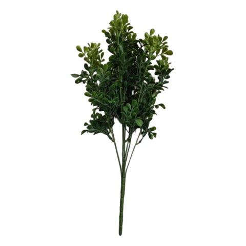 BG10683 BOXWOOD BUSH (UV) 20"