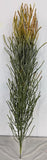 BG10705 PENCIL CACTUS PLANT (UV),4'