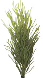 BG10705 PENCIL CACTUS PLANT (UV),4'