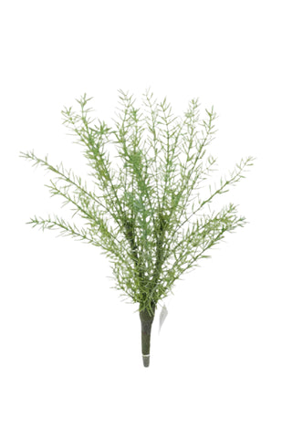 BG10711 ROSEMARY BUSH,18"