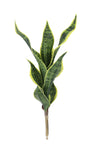 BG10713 SANSEVIERIA STEM,24"