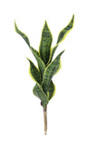 BG10713 SANSEVIERIA STEM,24"