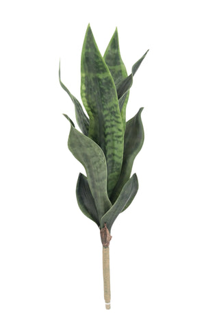 BG10713 SANSEVIERIA STEM,24"