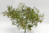 BG10736 SPANISH MOSS BUSH,13"