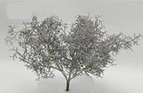 BG10736 SPANISH MOSS BUSH,13"