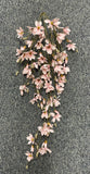 BG10741 JAPANESE MAGNOLIA HANGING BUSH,51"