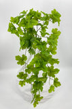 BG10771 HEUCHERA HANGING BUSH  32"