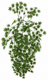 BG10788 JAPANESE MAPLE HANGING BUSH 51"