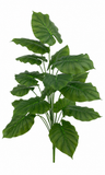 BG10791 CALADIUM BUSH,39.5"