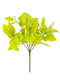 BG10797 PHILO BUSH,16"