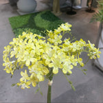 PA10403 MINI FREESIA BUNDLEx6 13"